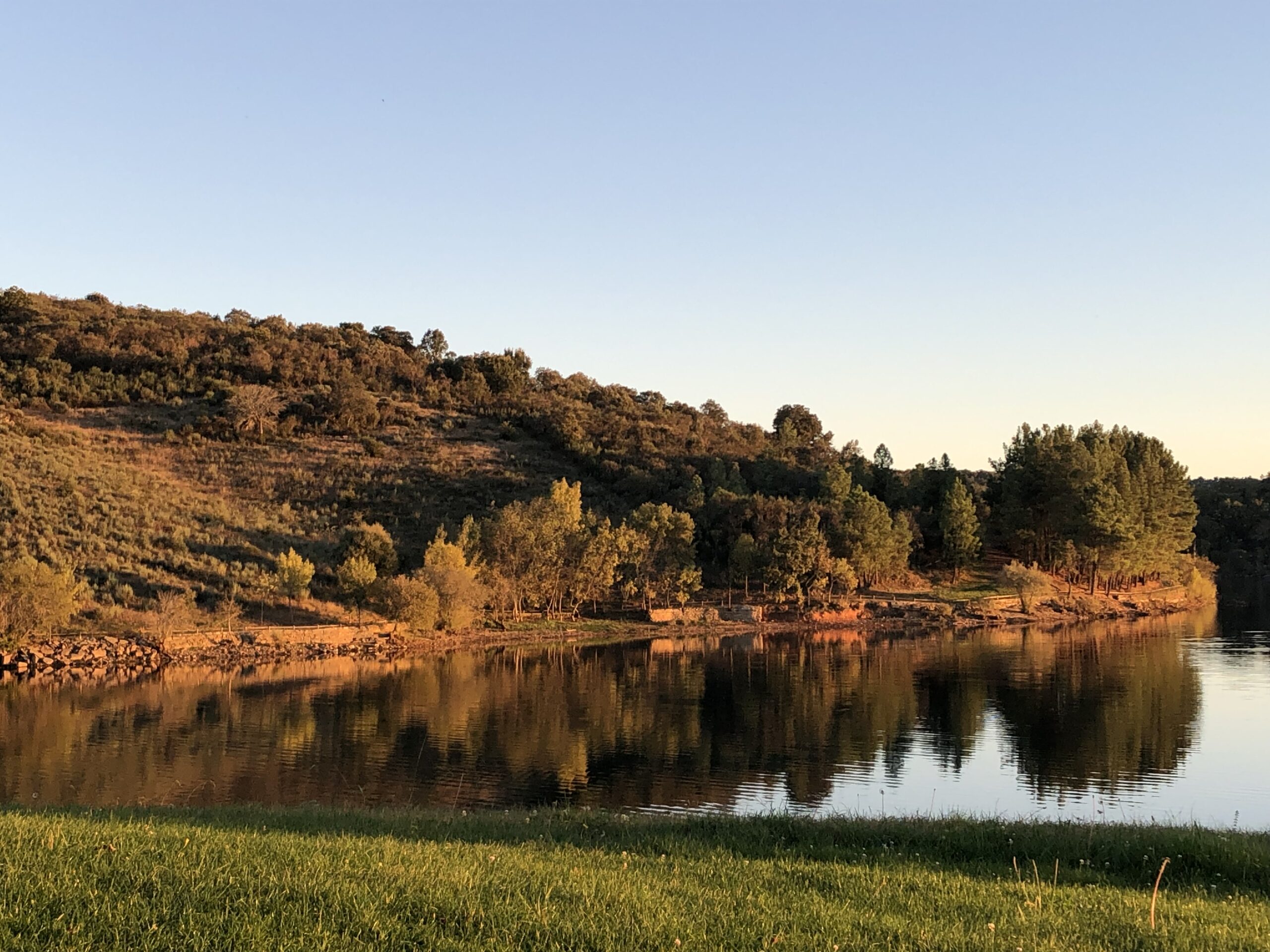 Qual é o perfil dos turistas que visitam o Azibo?